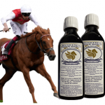 2 flaschen mit je 200ml Haarlemer Öl für Pferde