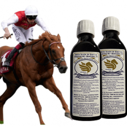 200 ml Haarlemer Öl für Pferde
