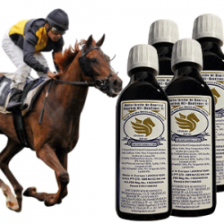 24 flaschen mit je 200ml Haarlemer Öl für Pferde